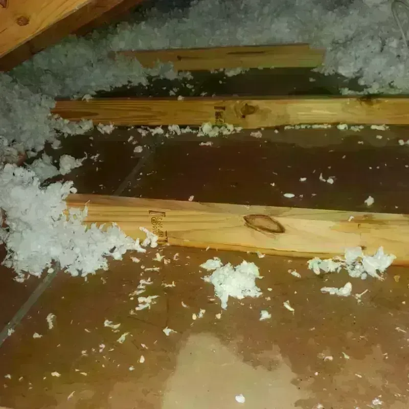 Attic Water Damage in Motley County, TX