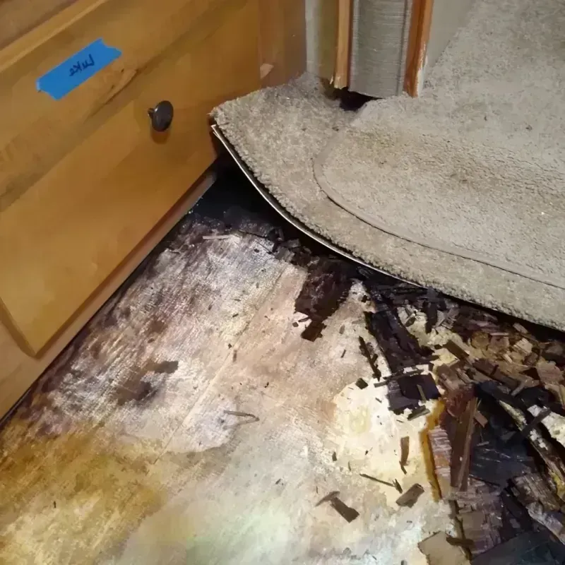 Wood Floor Water Damage in Motley County, TX